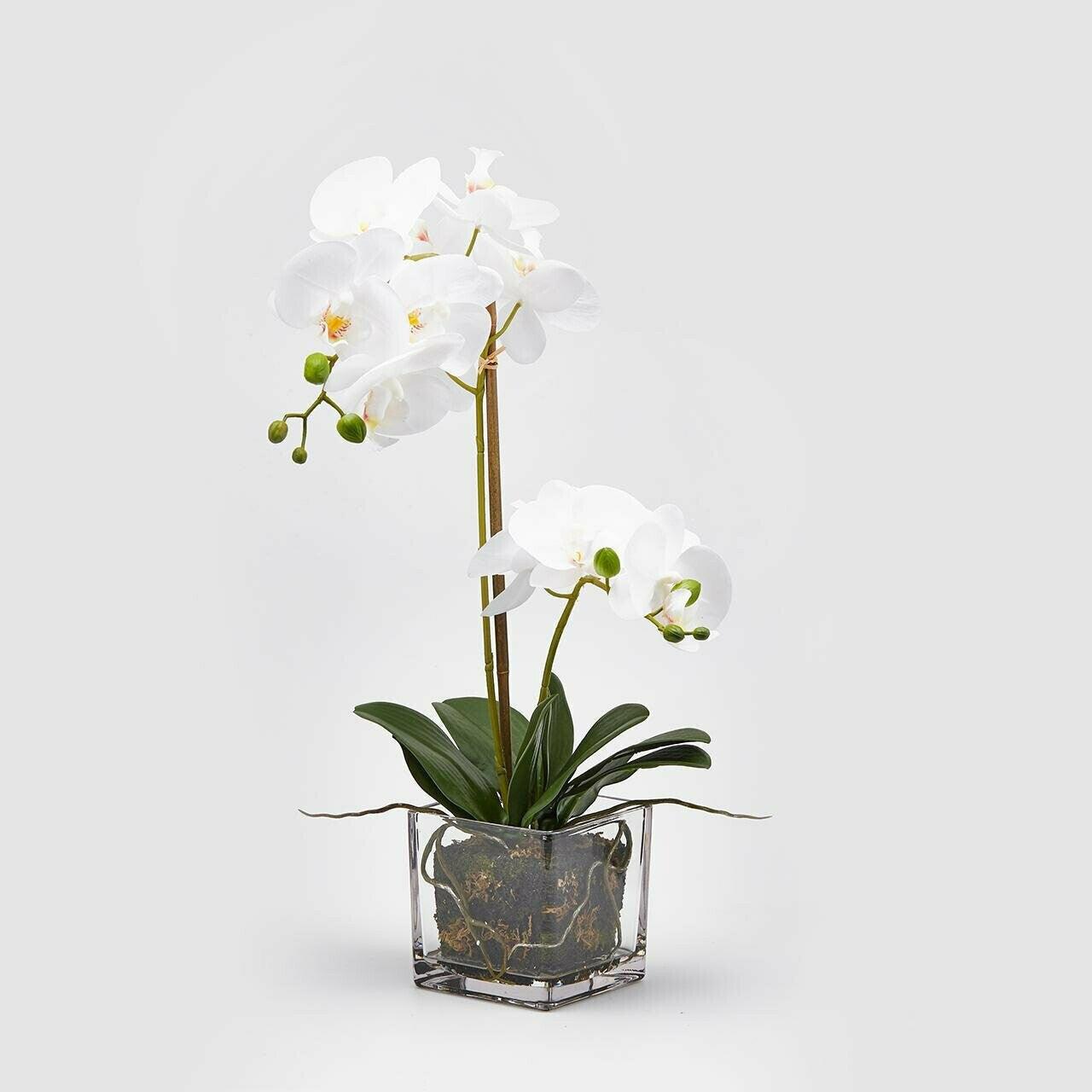 orchidea finta in vaso edg