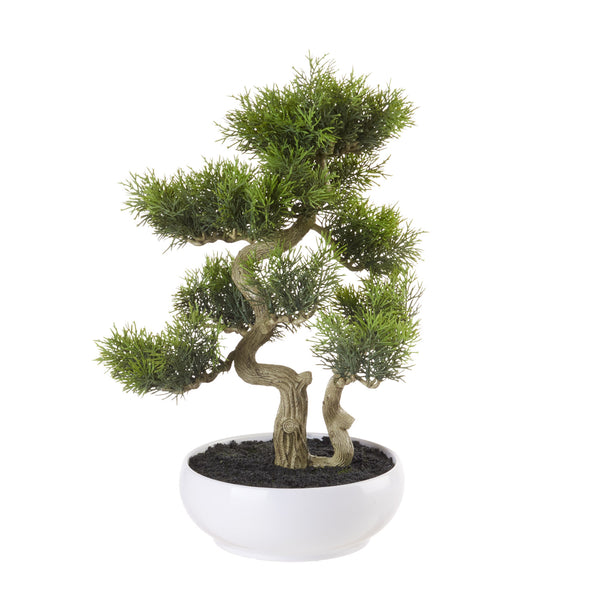 L'Oca Nera Bonsai Artificiale