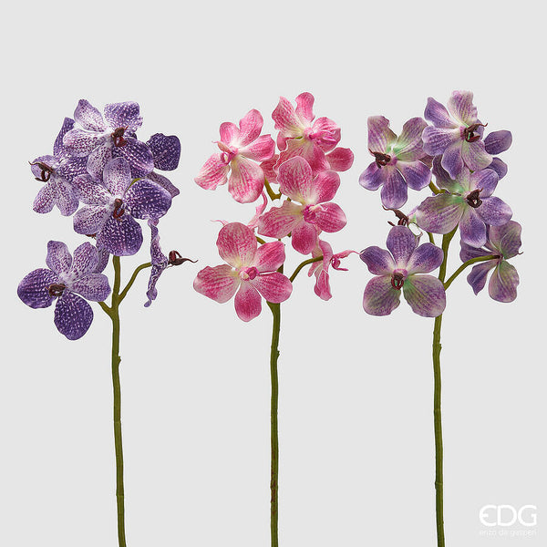 EDG Enzo De Gasperi Ramo di Orchidea Vanda H 70 cm