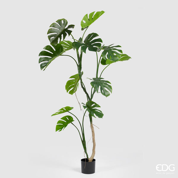 Pianta Artificiale Monstera Con Vaso grande