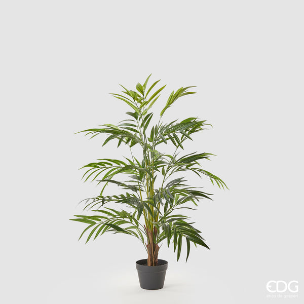 EDG Enzo De Gasperi Palma Areca Chic Con Vaso